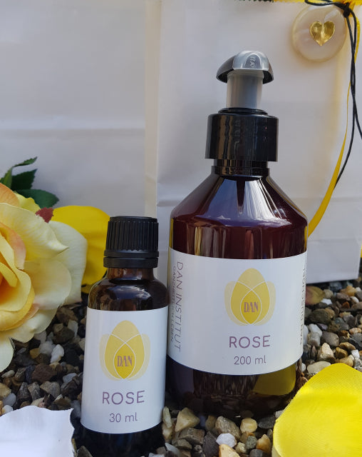 Rosen premium, 2-teilig, zur Zeit nicht lieferbar!