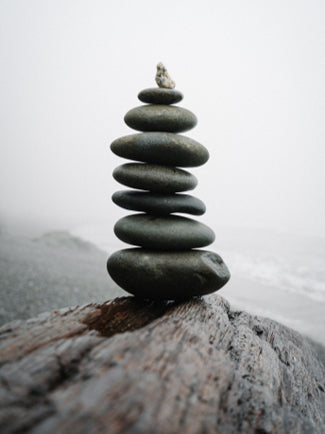 NEU DAN Produkte - Set "Regeneration", 4-teilig